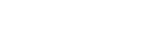 APEX DIGITAL PRODUCTS